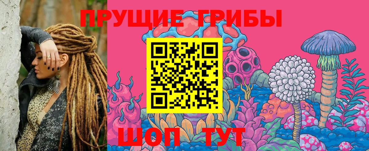 Псилоцибиновые грибы Psilocybe  Вход с VPN  Мирный 