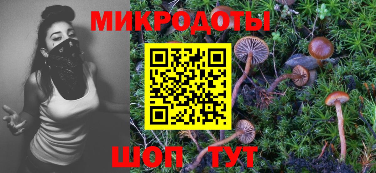 Галлюциногенные грибы прущие грибы Мирный